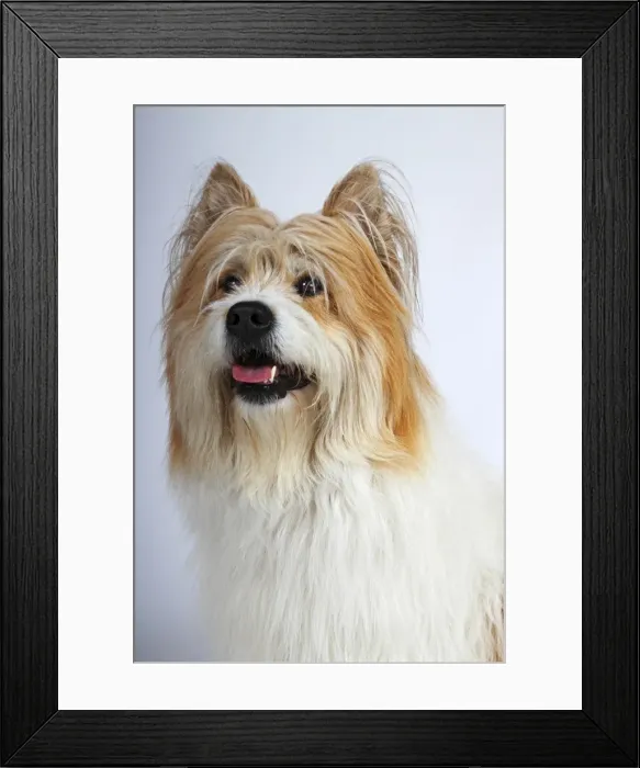 Framed Print : Elo, male, portrait Framed Print : Elo, male, portrait