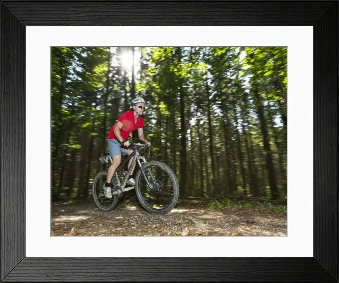 Framed Print : Cyclist on a mountainbike riding through a forest, Schurwald forest, Winterbach, Baden-Wurttemberg, Germany Framed Print : Cyclist on a mountainbike riding through a forest, Schurwald forest, Winterbach, Baden-Wurttemberg, Germany