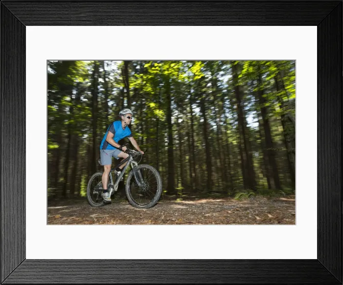 Framed Print : Cyclist on a mountainbike riding through a forest, Schurwald forest, Winterbach, Baden-Wurttemberg, Germany Framed Print : Cyclist on a mountainbike riding through a forest, Schurwald forest, Winterbach, Baden-Wurttemberg, Germany