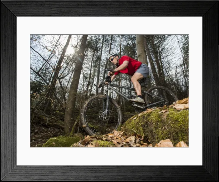 Framed Print : Cyclist on a mountainbike riding through a forest, Schurwald forest, Winterbach, Baden-Wurttemberg, Germany Framed Print : Cyclist on a mountainbike riding through a forest, Schurwald forest, Winterbach, Baden-Wurttemberg, Germany