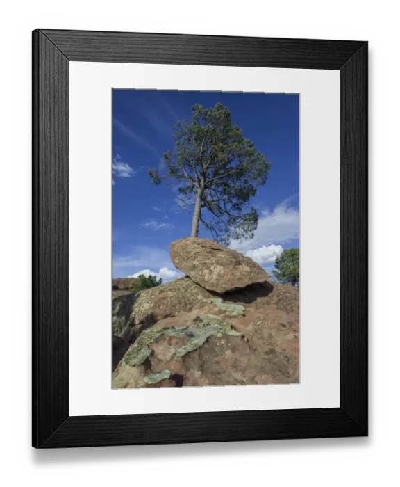 Framed Print : Rock formations in the Pinares de Rodeno Nature Reserve, Albarracin, Aragon, Spain Framed Print : Rock formations in the Pinares de Rodeno Nature Reserve, Albarracin, Aragon, Spain