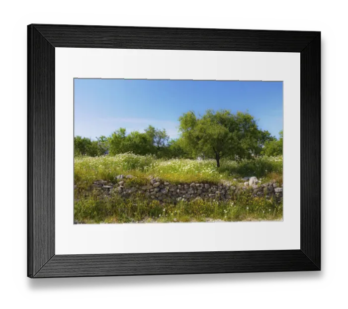 Framed Print : Natural stone wall and almond trees, Datca, Datca Peninsula, Mugla Province, Aegean, Turkey Framed Print : Natural stone wall and almond trees, Datca, Datca Peninsula, Mugla Province, Aegean, Turkey