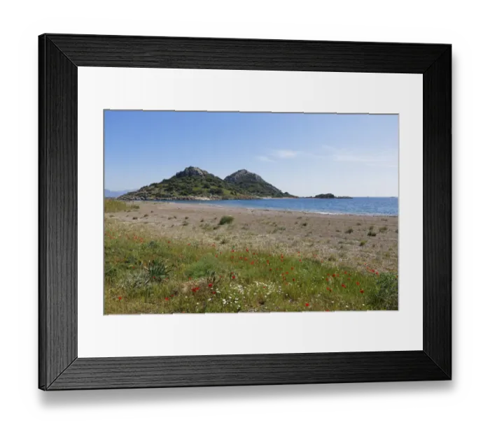 Framed Print : Flowers at Gebekum beach, Datca, Datca Peninsula, Mugla Province, Aegean, Turkey Framed Print : Flowers at Gebekum beach, Datca, Datca Peninsula, Mugla Province, Aegean, Turkey