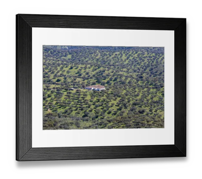 Framed Print : Dehesa of Extremadura, Monfraguee National Parks, UNESCO biosphere reserve, Extremadura, Spain