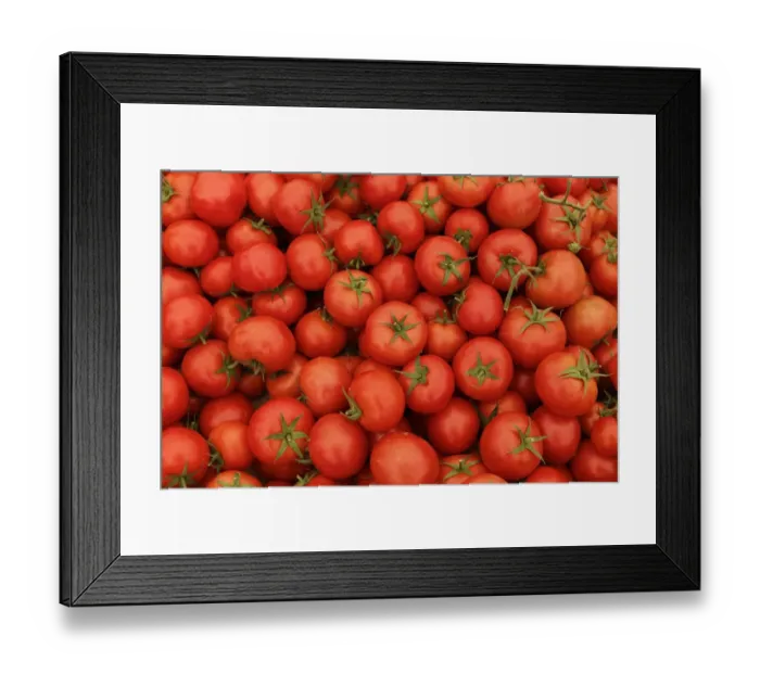 Framed Print : Tomatoes on a market stall, weekly farmers market, Mugla, Mugla Province, Aegean region, Turkey Framed Print : Tomatoes on a market stall, weekly farmers market, Mugla, Mugla Province, Aegean region, Turkey