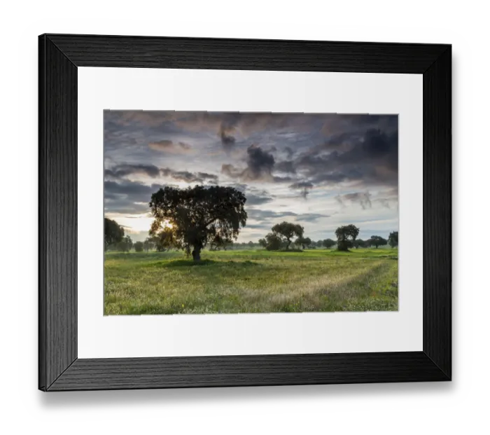 Framed Print : Landscape in morning light, at Quintana de la Serena, Extremadura, Spain Framed Print : Landscape in morning light, at Quintana de la Serena, Extremadura, Spain