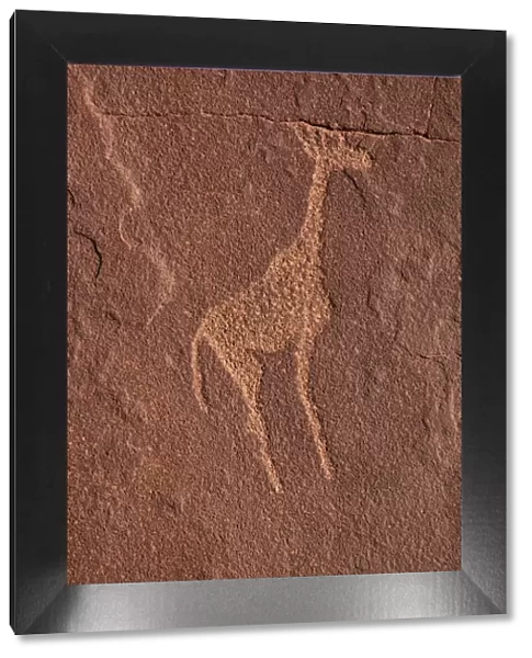 Giraffe, rock carvings of the San people, Damaraland, Kunene Region, Namibia