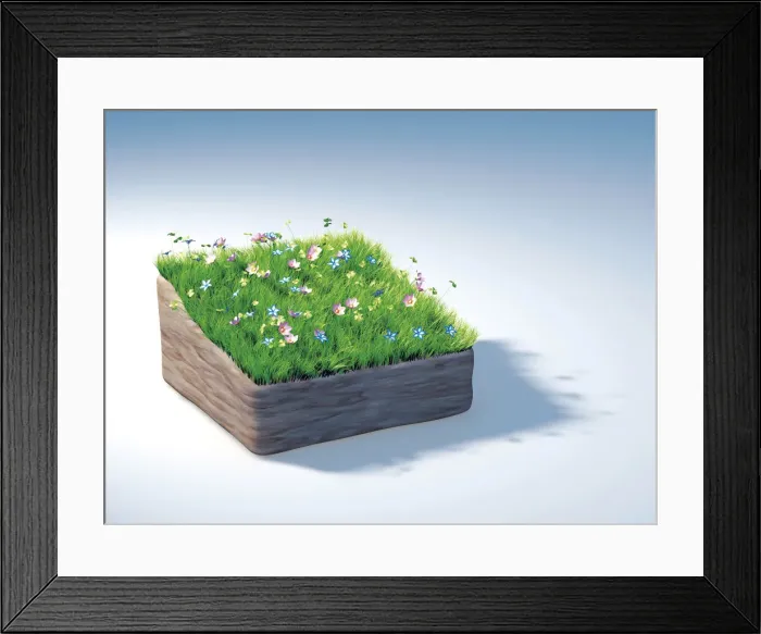 Framed Print : Piece of land with a flowering meadow, illustration Framed Print : Piece of land with a flowering meadow, illustration