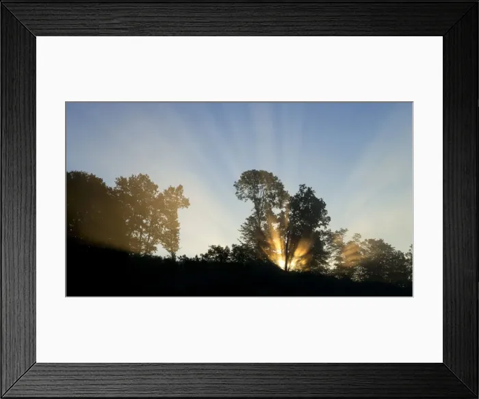 Framed Print : Sunrise behind trees, Limbach, Burgenland, Austria Framed Print : Sunrise behind trees, Limbach, Burgenland, Austria