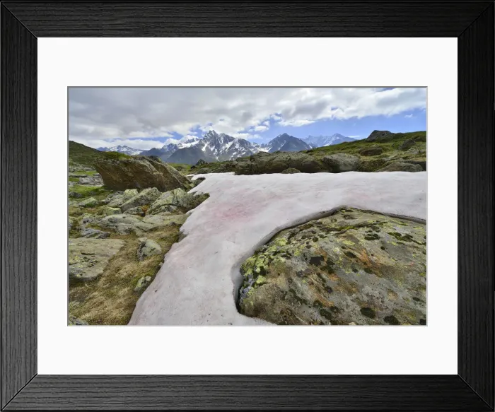 Framed Print : Snow Alga or Snow Algae -Chlamydomonas nivalis-, Kaunergrat Range at the back, Seeles See lake, Kaunertal Valley, Tyrol, Austria Framed Print : Snow Alga or Snow Algae -Chlamydomonas nivalis-, Kaunergrat Range at the back, Seeles See lake, Kaunertal Valley, Tyrol, Austria