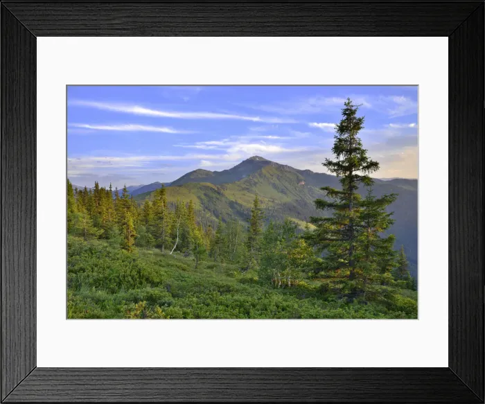Framed Print : Mountain landscape, Naunz, at the back the mountains Sonntagskopfl and Gilfert, Tyrol Austria Framed Print : Mountain landscape, Naunz, at the back the mountains Sonntagskopfl and Gilfert, Tyrol Austria