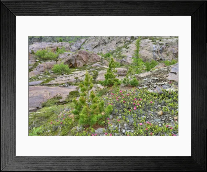 Framed Print : Glacial fluting at Mt Gepatschferner, Kaunertal Glacier, Otztal Alps, Tyrol, Austria Framed Print : Glacial fluting at Mt Gepatschferner, Kaunertal Glacier, Otztal Alps, Tyrol, Austria