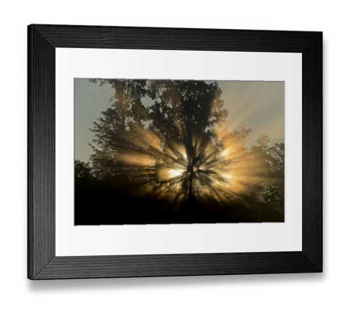 Framed Print : Sunrise behind trees, Limbach, Burgenland, Austria Framed Print : Sunrise behind trees, Limbach, Burgenland, Austria