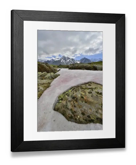 Framed Print : Snow Alga or Snow Algae -Chlamydomonas nivalis-, Kaunergrat Range at the back, Seeles See lake, Kaunertal Valley, Tyrol, Austria Framed Print : Snow Alga or Snow Algae -Chlamydomonas nivalis-, Kaunergrat Range at the back, Seeles See lake, Kaunertal Valley, Tyrol, Austria