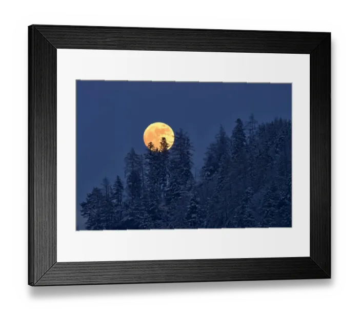 Framed Print : The full moon rising over a winter forest, Tyrol, Austria Framed Print : The full moon rising over a winter forest, Tyrol, Austria
