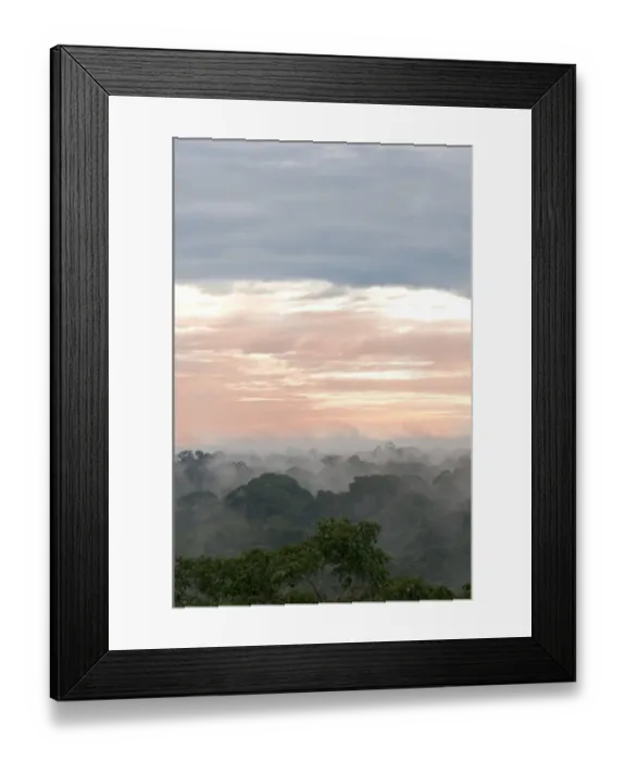 Framed Print : Morning mist over the treetops of the rainforest, Tambopata Nature Reserve, Madre de Dios Region, Peru