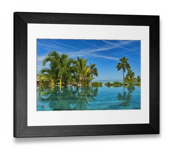 Framed Print : Lush vegetation by the water, Moorea, French Polynesia Framed Print : Lush vegetation by the water, Moorea, French Polynesia