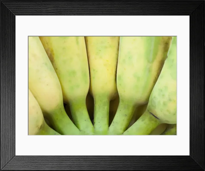 Framed Print : Bunch of bananas Framed Print : Bunch of bananas