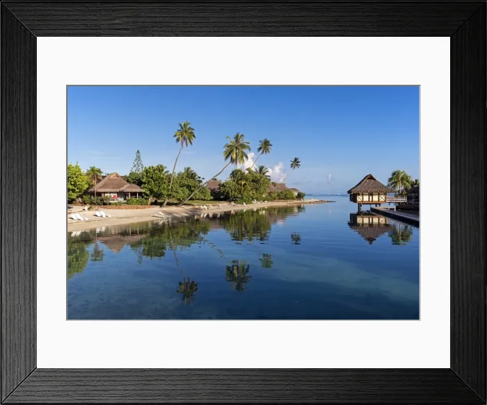 Framed Print : Bungalows, palm trees, lagoon, Moorea, French Polynesia