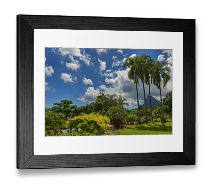 Framed Print : South seas island, Moorea, French Polynesia Framed Print : South seas island, Moorea, French Polynesia