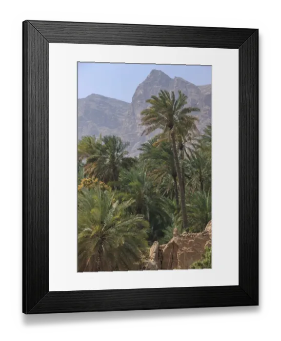 Framed Print : Date palms in Wadi Tiwi with Hajar Mountains, Ash-Sharqiyah, Oman Framed Print : Date palms in Wadi Tiwi with Hajar Mountains, Ash-Sharqiyah, Oman