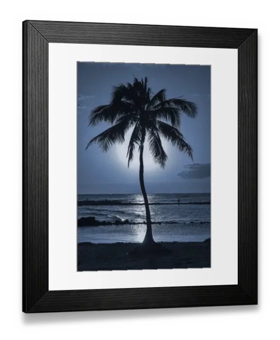 Framed Print : Palm tree, evening mood, Kauai, Hawaii, United States Framed Print : Palm tree, evening mood, Kauai, Hawaii, United States