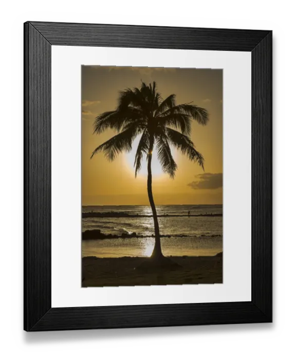 Framed Print : Palm tree in backlight, Kauai, Hawaii, United States Framed Print : Palm tree in backlight, Kauai, Hawaii, United States