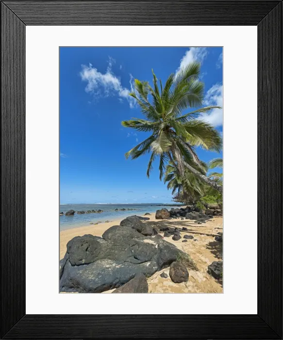 Framed Print : Palm trees and lava rocks on the beach, Kauai, Hawaii, United States Framed Print : Palm trees and lava rocks on the beach, Kauai, Hawaii, United States