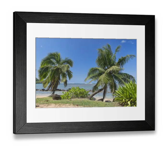 Framed Print : Palm trees on the beach, Kauai, Hawaii, United States Framed Print : Palm trees on the beach, Kauai, Hawaii, United States