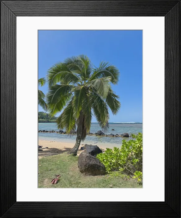 Framed Print : Palm tree on the beach, Kauai, Hawaii, United States Framed Print : Palm tree on the beach, Kauai, Hawaii, United States