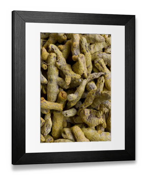 Framed Print : Turmeric, Kerala, India Framed Print : Turmeric, Kerala, India