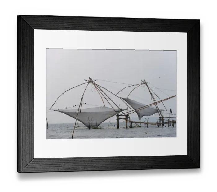 Framed Print : Chinese fishing nets, Vembanad lake, Kerala, India Framed Print : Chinese fishing nets, Vembanad lake, Kerala, India