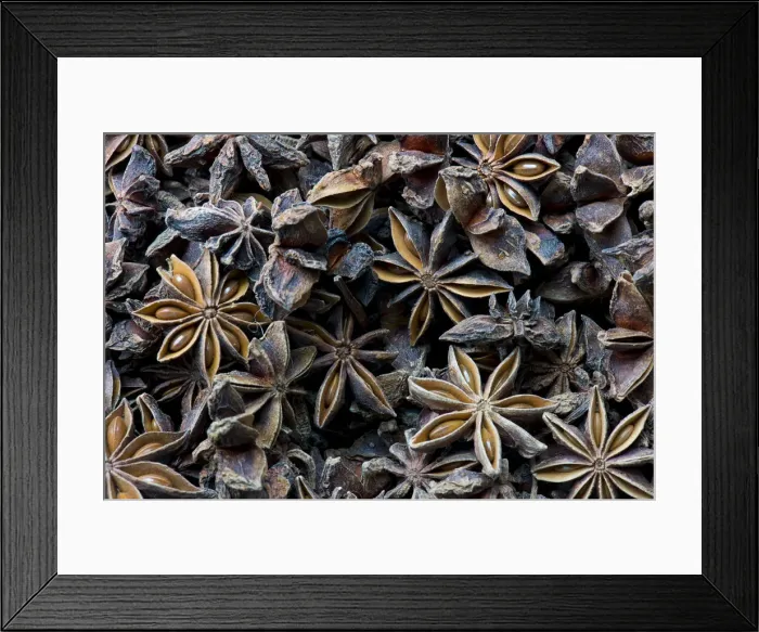 Framed Print : Star anise, Kerala, India Framed Print : Star anise, Kerala, India