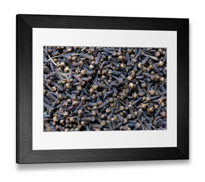 Framed Print : Cloves, Kerala, India Framed Print : Cloves, Kerala, India