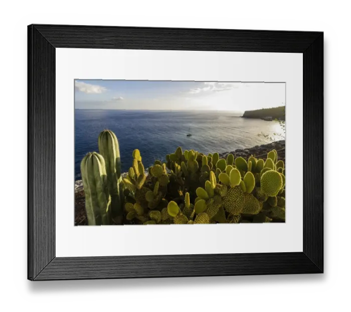 Framed Print : Bay with cacti at front, Laguna de Santiago, La Gomera, Canary Islands, Spain Framed Print : Bay with cacti at front, Laguna de Santiago, La Gomera, Canary Islands, Spain