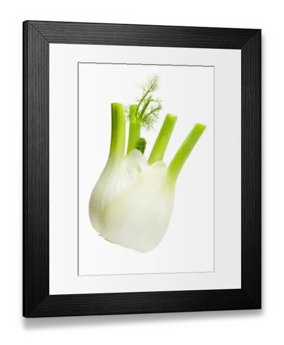 Framed Print : Fennel Framed Print : Fennel