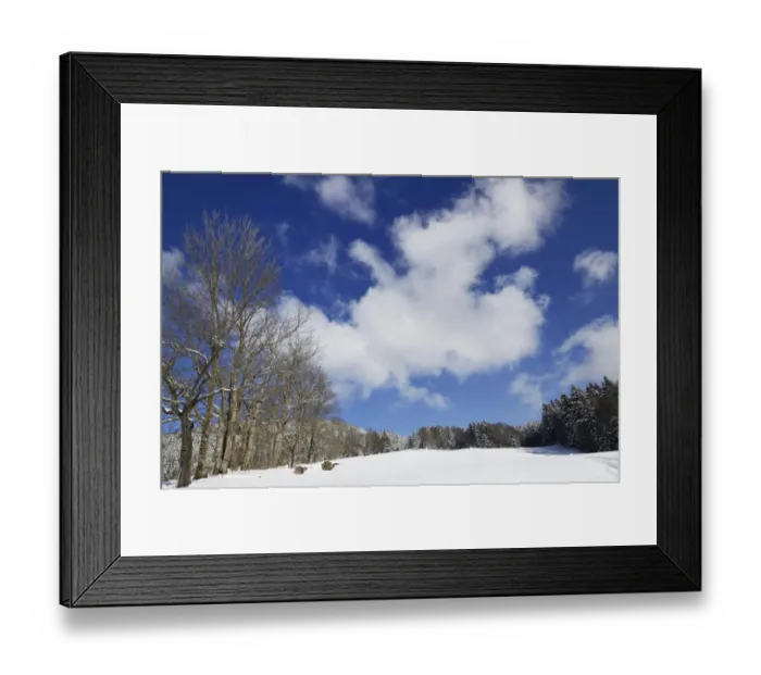 Framed Print : Clouds above the boundary ridge with sycamore maple trees -Acer plantanoides-, snow-covered winter landscape, Leitzachtal, bei Elbach, Upper Bavaria, Bavaria, Germany Framed Print : Clouds above the boundary ridge with sycamore maple trees -Acer plantanoides-, snow-covered winter landscape, Leitzachtal, bei Elbach, Upper Bavaria, Bavaria, Germany