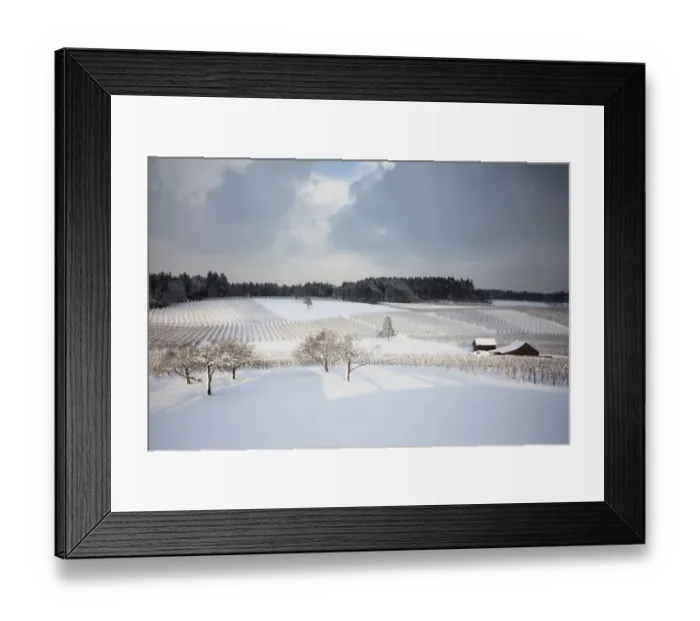 Framed Print : Fruit orchard in winter, bei Wasserburg, Baden-Wurttemberg, Germany Framed Print : Fruit orchard in winter, bei Wasserburg, Baden-Wurttemberg, Germany