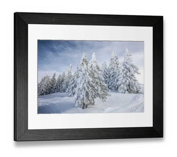 Framed Print : Coniferous trees with snow and hoarfrost, Brixen im Thale, Brixen Valley, Tyrol, Austria Framed Print : Coniferous trees with snow and hoarfrost, Brixen im Thale, Brixen Valley, Tyrol, Austria