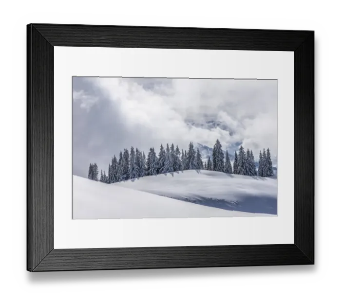Framed Print : Coniferous trees with snow and hoarfrost, Brixen im Thale, Brixen Valley, Tyrol, Austria Framed Print : Coniferous trees with snow and hoarfrost, Brixen im Thale, Brixen Valley, Tyrol, Austria