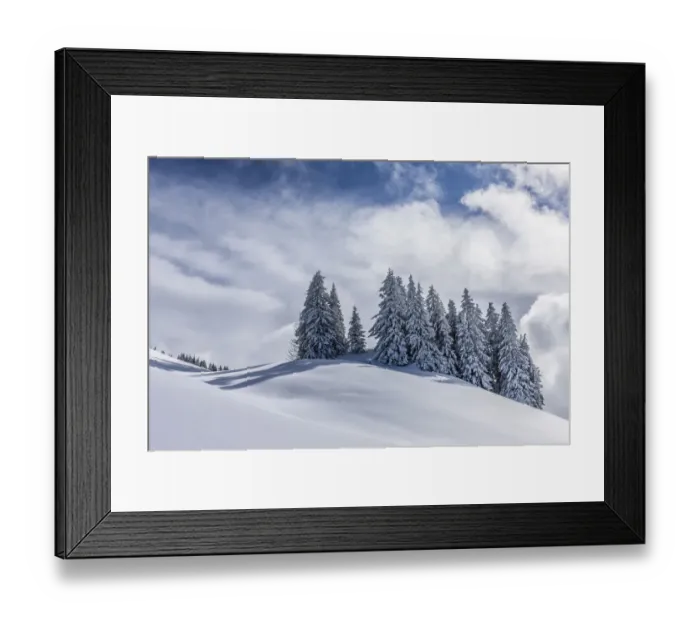 Framed Print : Group of coniferous trees with snow and hoarfrost, Brixen im Thale, Brixen Valley, Tyrol, Austria