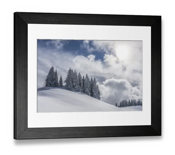 Framed Print : Group of coniferous trees with snow and hoarfrost, Brixen im Thale, Brixen Valley, Tyrol, Austria Framed Print : Group of coniferous trees with snow and hoarfrost, Brixen im Thale, Brixen Valley, Tyrol, Austria