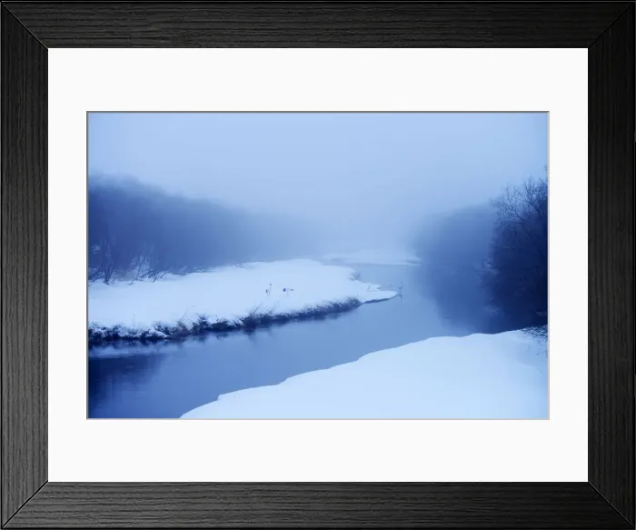 Framed Print : Red-crowned Cranes, Japanese Cranes or Manchurian Cranes -Grus Japonensis-, standing on a snow-covered riverbank, Kushiro-Shitsugen-Nationalpark, Kushiro, Hokkaido, Japan Framed Print : Red-crowned Cranes, Japanese Cranes or Manchurian Cranes -Grus Japonensis-, standing on a snow-covered riverbank, Kushiro-Shitsugen-Nationalpark, Kushiro, Hokkaido, Japan