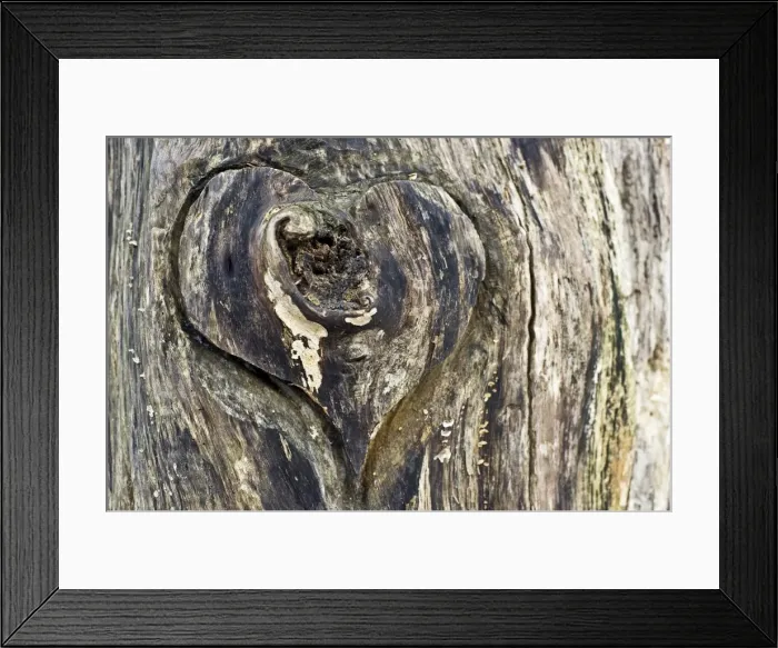 Framed Print : Wooden heart carved Into a tree trunk, Germany Framed Print : Wooden heart carved Into a tree trunk, Germany