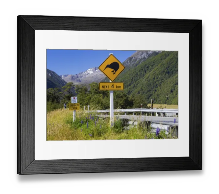 Framed Print : Warning sign, Kiwis next 4km at Greyneys Creek, looking towards Mt. Oates, 2041m, Canterbury Region, New Zealand Framed Print : Warning sign, Kiwis next 4km at Greyneys Creek, looking towards Mt. Oates, 2041m, Canterbury Region, New Zealand