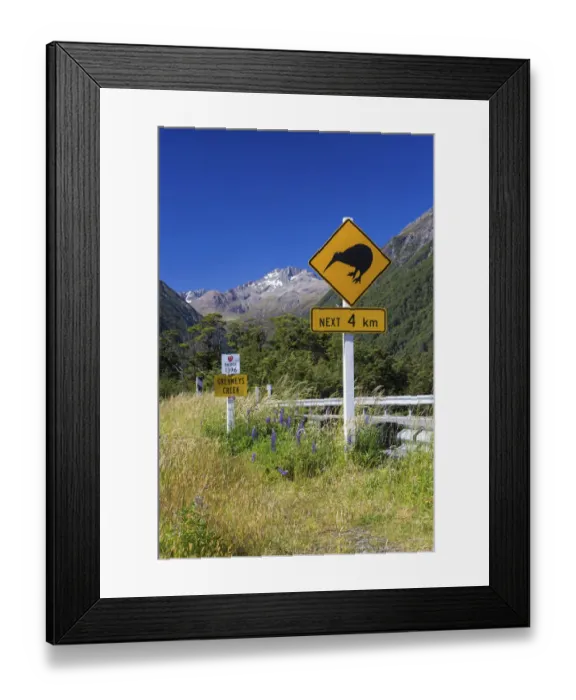 Framed Print : Warning sign, Kiwis next 4km at Greyneys Creek, looking towards Mt. Oates, 2041m, Canterbury Region, New Zealand Framed Print : Warning sign, Kiwis next 4km at Greyneys Creek, looking towards Mt. Oates, 2041m, Canterbury Region, New Zealand