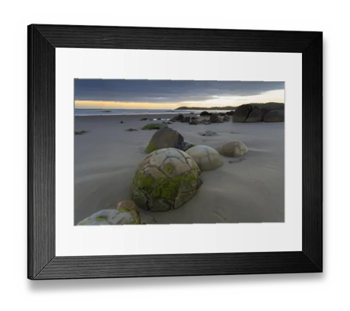 Framed Print : Moeraki Boulders on the beach at dawn, Moeraki Beach, Hampden, Otago Region, New Zealand