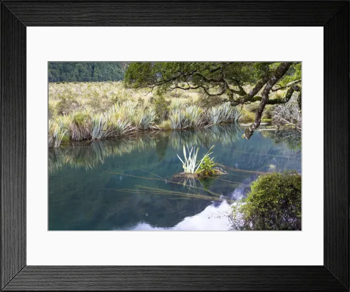 Framed Print : The crystal clear Mirror Lakes, Te Anau Downs, Southland Region, New Zealand Framed Print : The crystal clear Mirror Lakes, Te Anau Downs, Southland Region, New Zealand