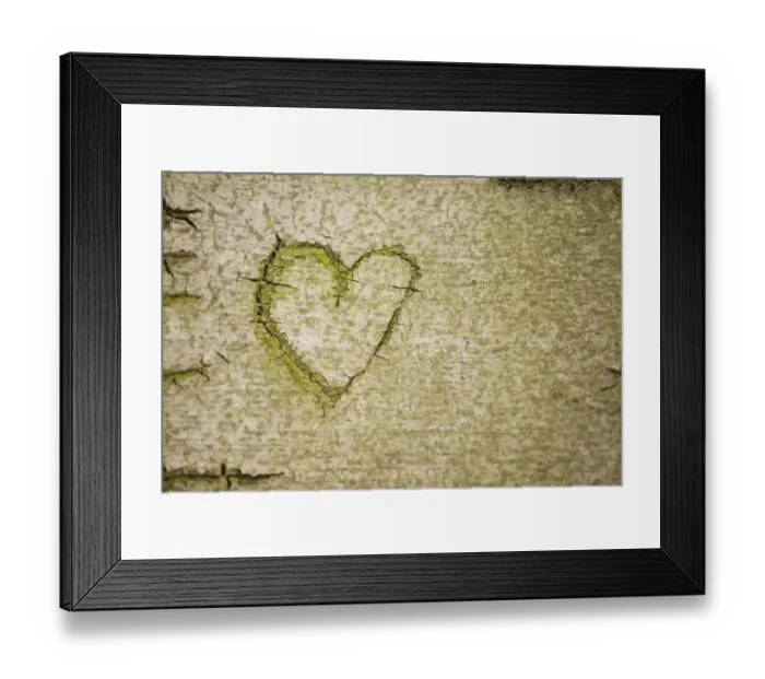 Framed Print : Heart symbol carved into the bark of a beech tree, Cologne, Rhineland, North Rhine-Westphalia, Germany Framed Print : Heart symbol carved into the bark of a beech tree, Cologne, Rhineland, North Rhine-Westphalia, Germany