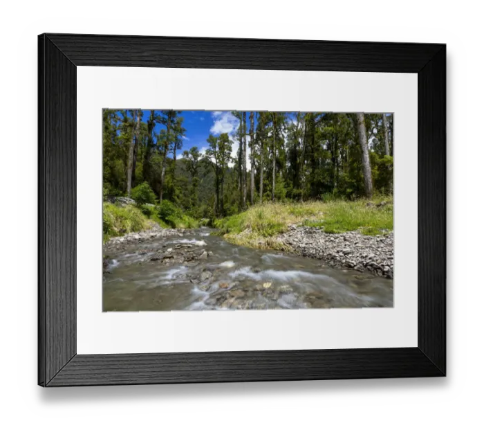 Framed Print : The Blackwater Creek below the Douglas Range, West Coast Region, New Zealand Framed Print : The Blackwater Creek below the Douglas Range, West Coast Region, New Zealand